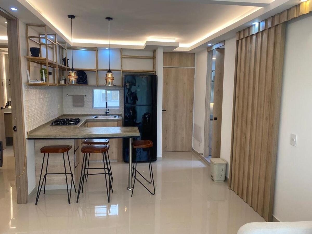Dammar Luxury * Cartagena
